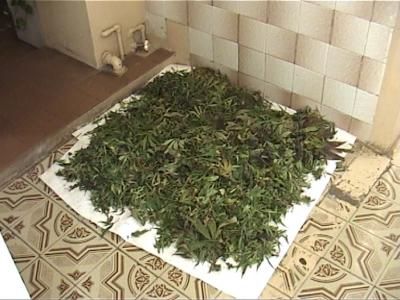 В Михайловском районе оперативники поймали беглеца с мешком марихуаны